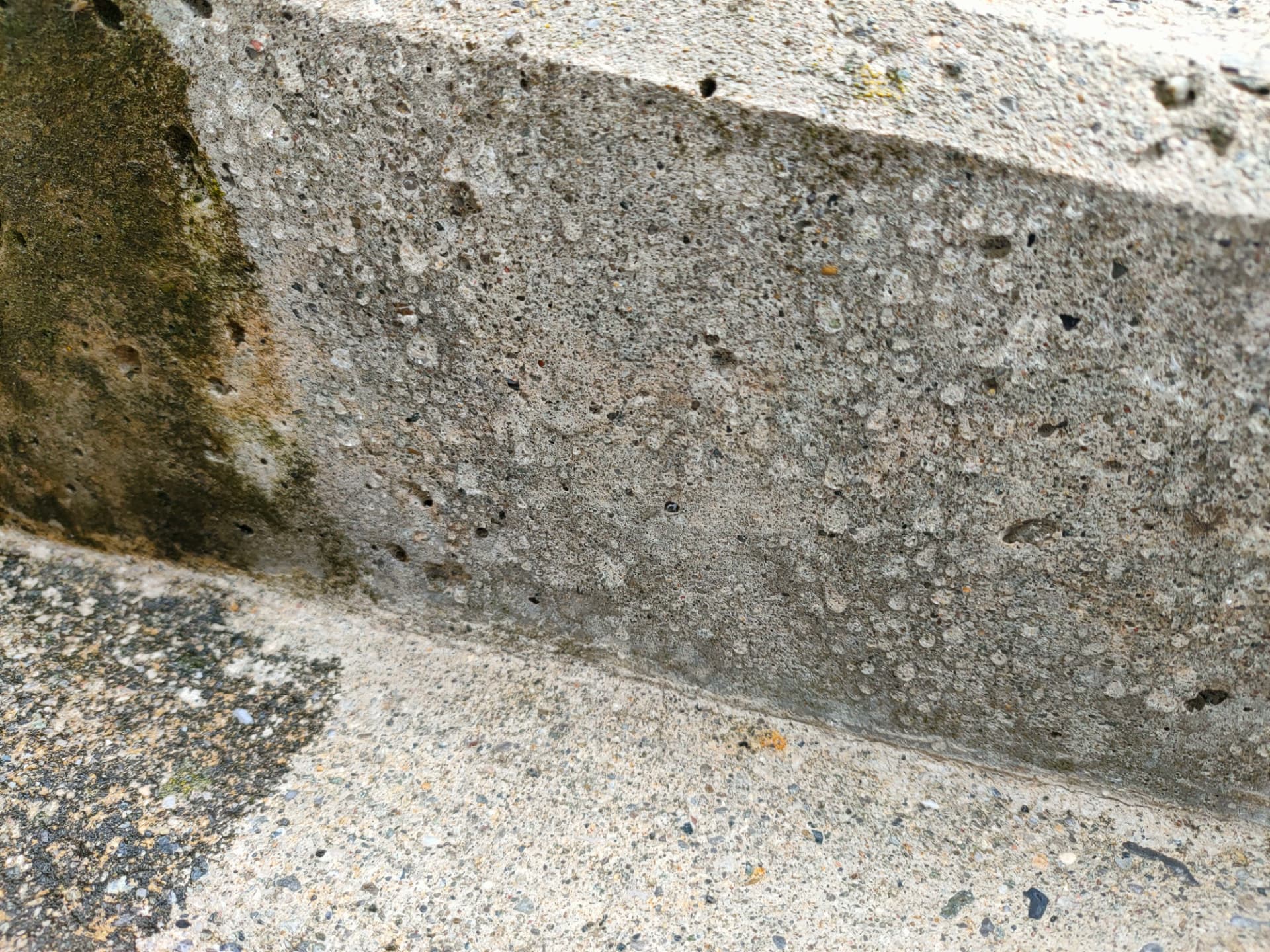 Unbehandelter Beton nimmt Feuchtigkeit auf – Voraussetzung für Vergrünung, Ausblühungen und Frostschäden.